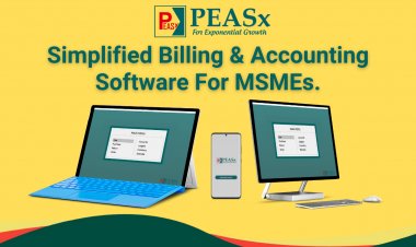 Here is why PEASx is currently the best software for accounting