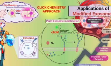 An Innovative Approach to Cancer Treatment: Click-Modified Exosomes Pave the Way for Targeted, Personalized Therapy
