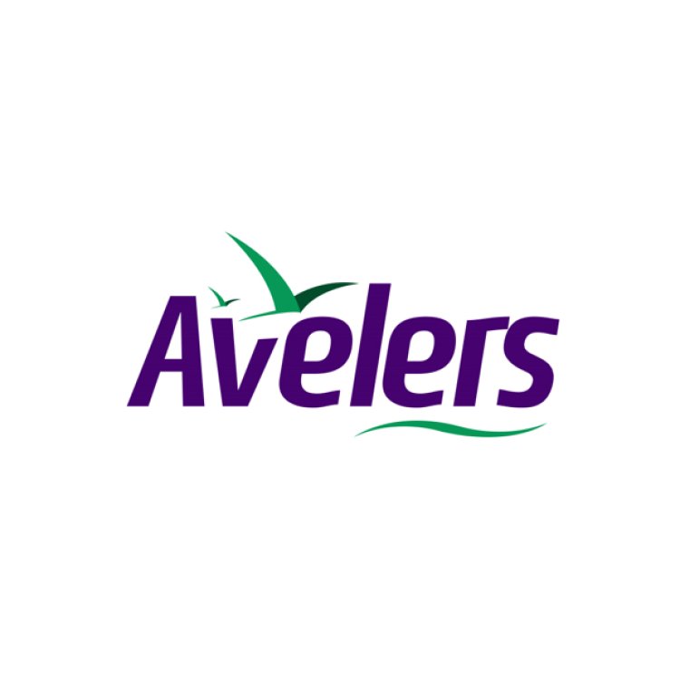 Avelers.com: Your Gateway to Premium Luxury Travel Experiences
