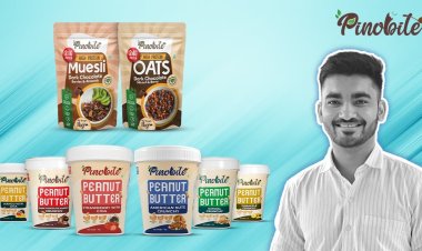 How Pinobite Started – A Real Story