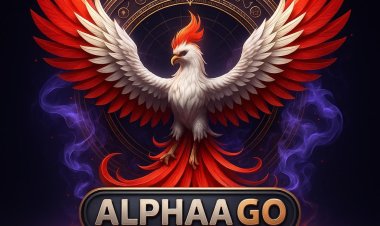 Revolutionizing Digital Marketing: How Tapharnoor Singh's AlphaaGo Agency Is Powering Online Growth for Indian Businesses