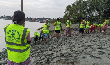 Sundarbans Gets Greener: 1.5 Lakh Mangrove Saplings Planted in Kumirmari, Gosaba Block – TMILL and Afflatus Foundation Gear Up for Another 1 Lakh Plantation This Year.