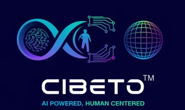 Pulse Mirror: Your Trusted Window to Truth and Timely News.