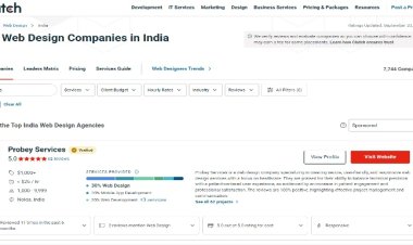 Probey Services is Awarded as the #1 Web Design Company in India by Clutch!