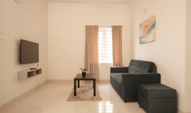 Buzz Living Redefines Urban Co-Living in Hyderabad: A Community-Centric Approach to Modern Living