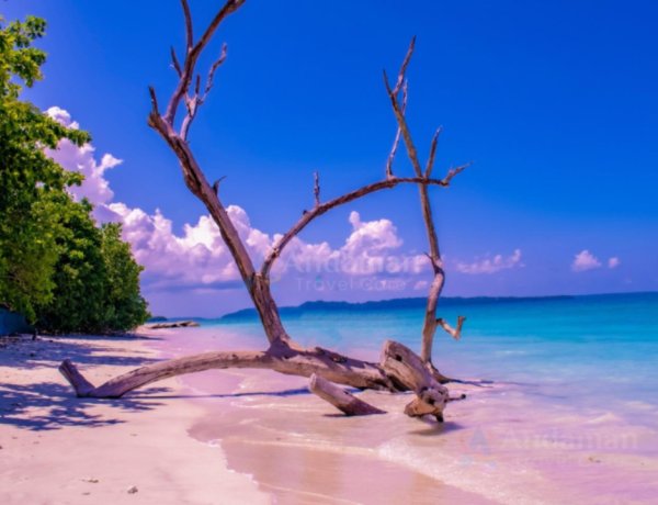 AndamanTravelCare: Port Blair-Based Local Andaman Tour Operator Launches Premium Andaman Tour Packages from Visakhapatnam