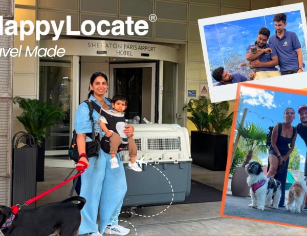 Moving Abroad From India With Your Pet: Is It Safe, or Should You Find Them a New Home?
