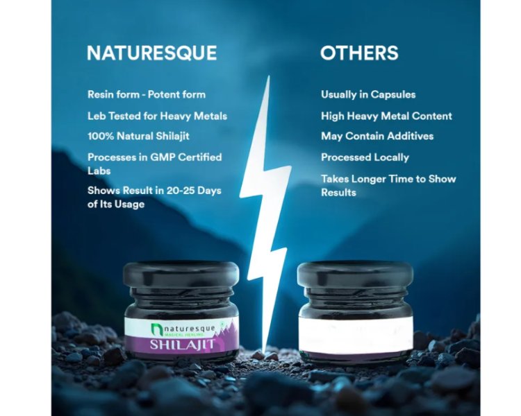 Naturesque Kesar Shilajit Brings Traditional Ayurvedic Ingredients Into a Modern Wellness Formula